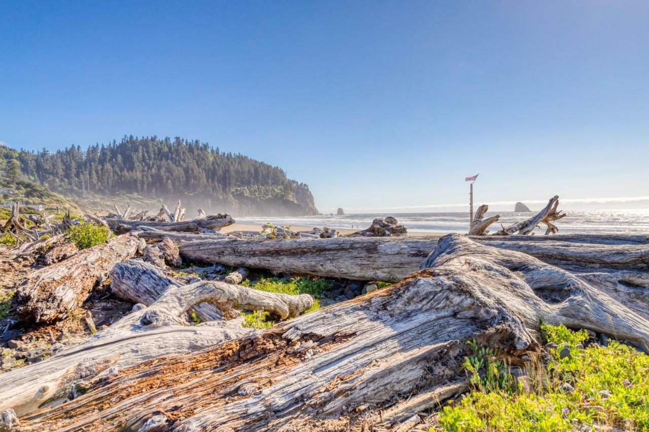 Cape Meares Overlook Dış mekan fotoğraf